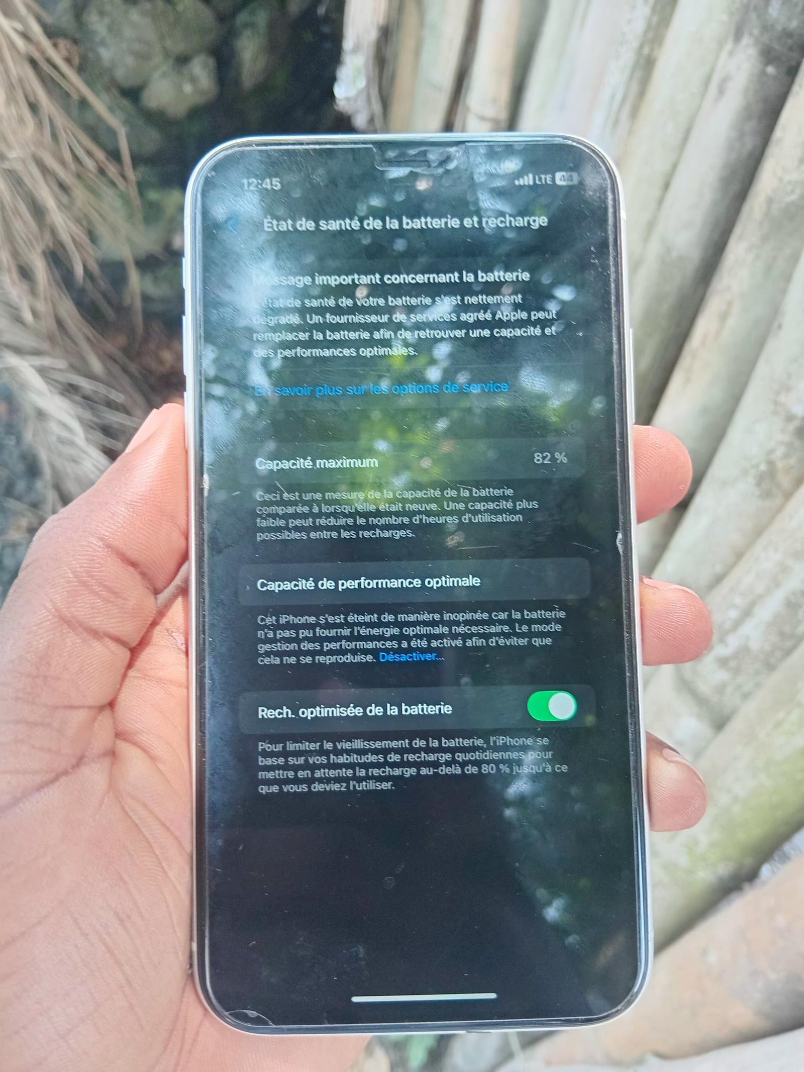 iphone 11 w
